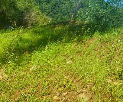 柳關欒盧鉛鋅礦|治理排土“瘡疤”，繪就綠色畫卷